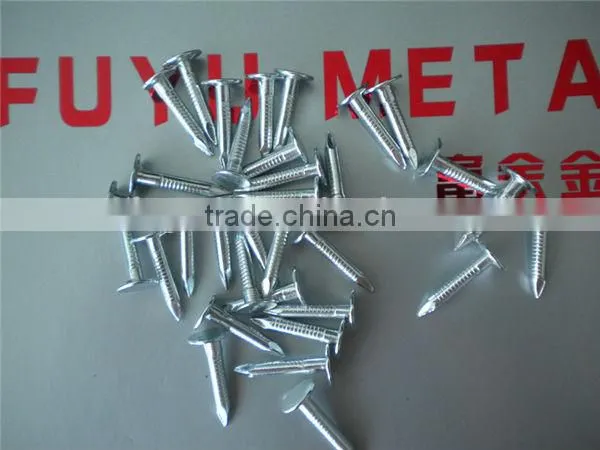 galvanized clout nails factory