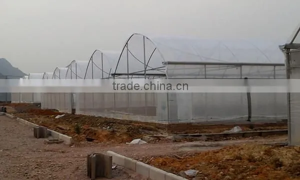 plastic greenhouse manufacturers