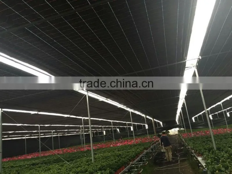multi-span galvanized black out greenhouse