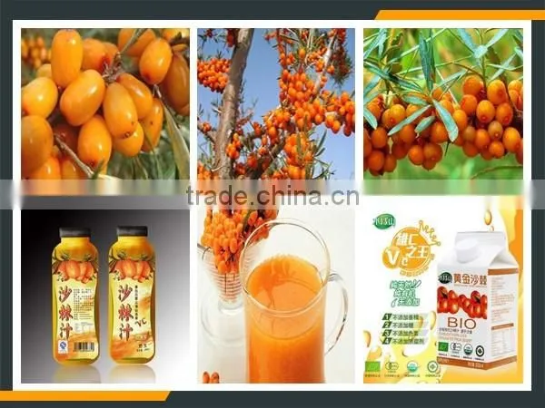 Leader hot sales seabuckthorn wine process line with Skype:leaderservice005