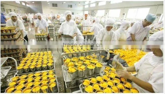 cannd food manufacturer in isreal canned yellow peach halves