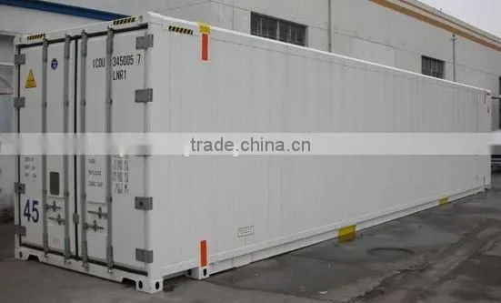 Special Reefer Container 48ft 53ft 45ft Reefer Container