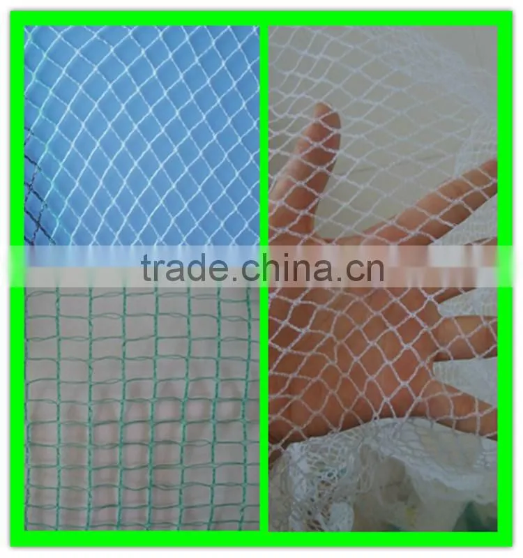 supply various apple tree anti hail net/hail protection net/anti brid net