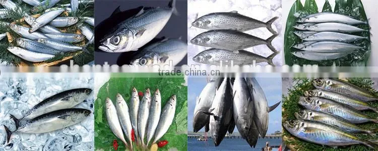 Wholesale frozen krill