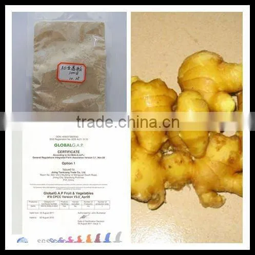 dehydrated ginger slice
