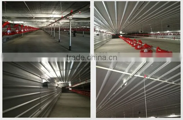 poultry farming equipment for broiler chicken house