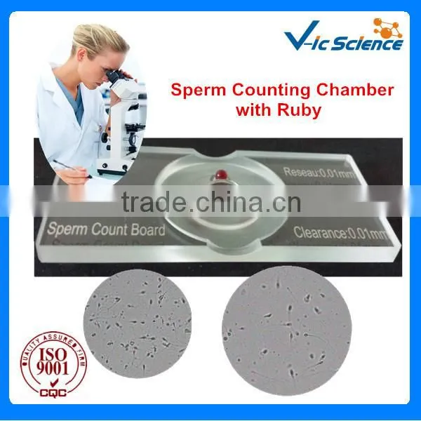 Clinical Medicine Sperm Counting Chamber with Ruby