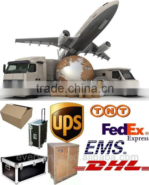 EVERSUN FC-09 Cryotherapy Lipolysis Fat Freezing Machine with CE ISO FDA