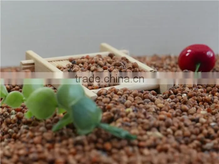 Natural Glutinous Red Sorghum price