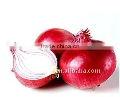 sell small good quality Onion,yellow onion