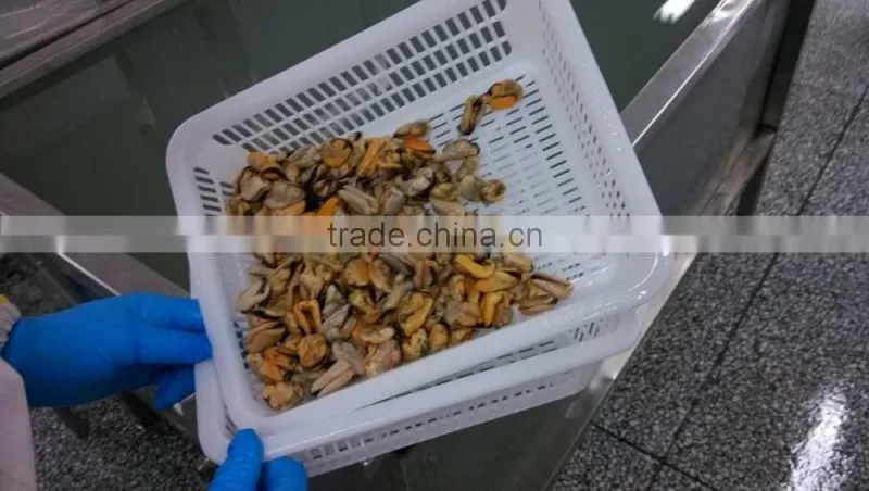 Frozen mussel boiled meat seafood price from seafood company