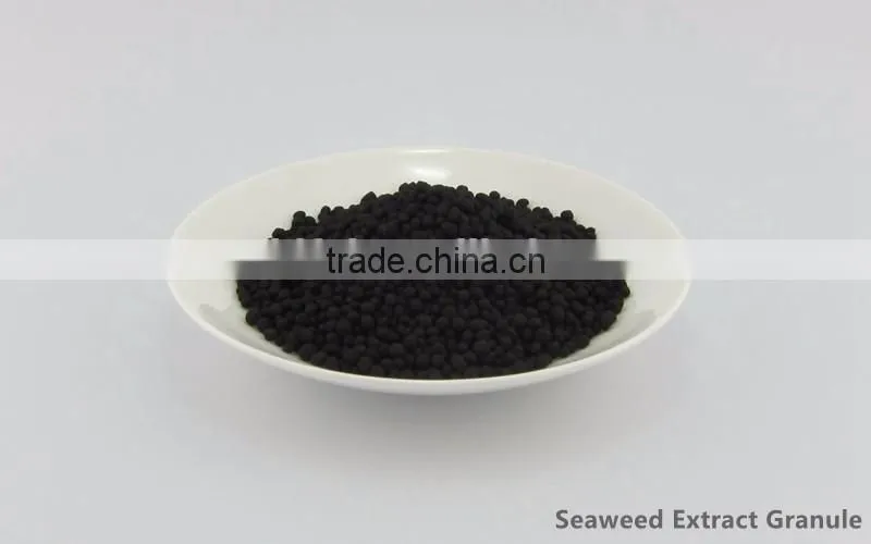 Worldful Manufacturer Seaweed Granule/Sargassum Seaweed/Seaweed Extract