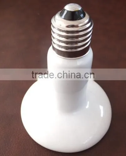 animal UV lamp
