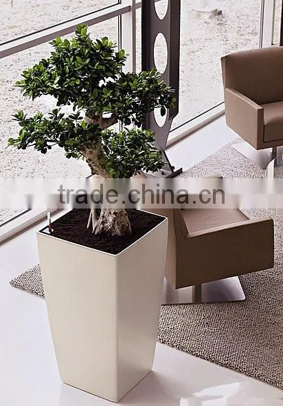 White color mexican flower pot