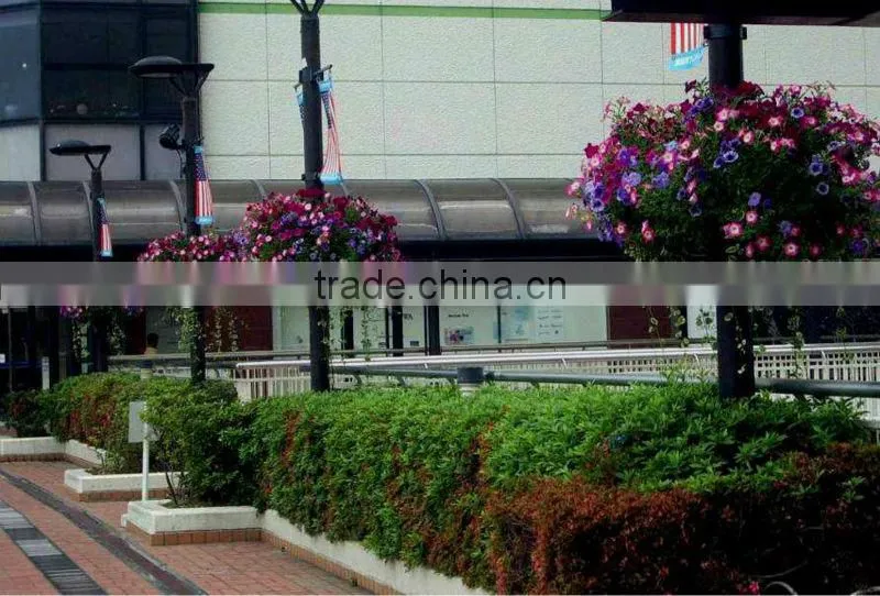 SOL 2015 environment-friendly factory price hanging ball planters