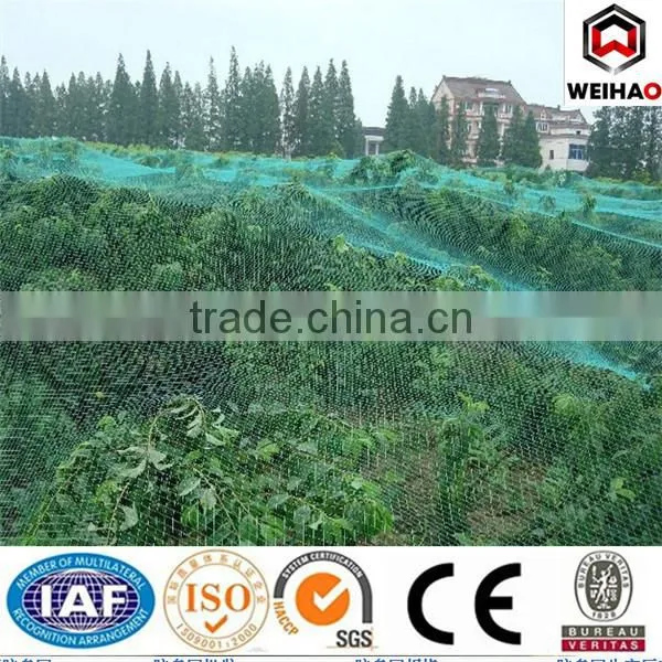 Factory Anti-bird mesh/plastic net