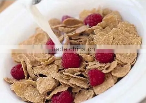 Fully automatic puffed snacks food machine