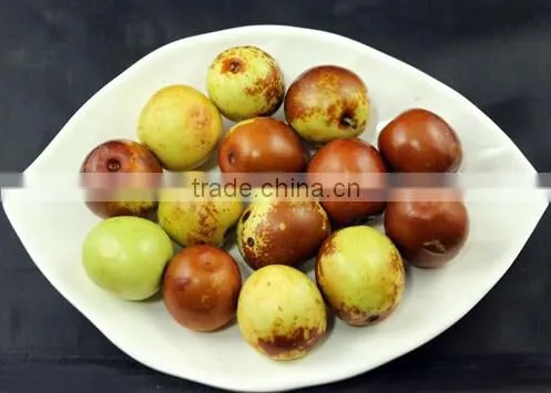 Commercial Red Date Washing Machine|Automatic Olive Cleaning Machine