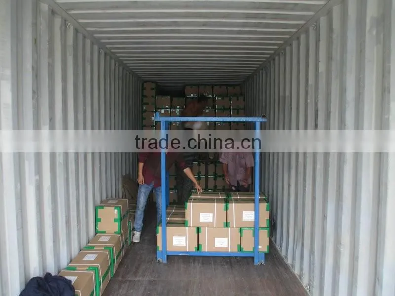 HACCP /ISO/FDA Approved High Quality Dehydrated Garlic powder for USA/EU market