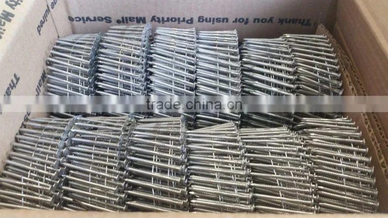 direct factory roofing coil nails / coil nail /china coil nail