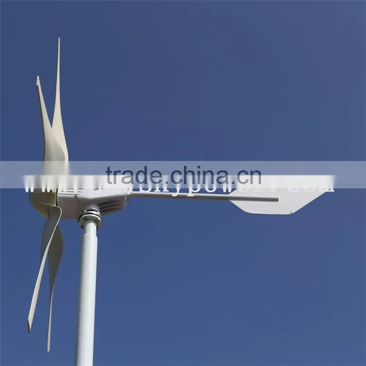 electric generator,new product,48v wind generator