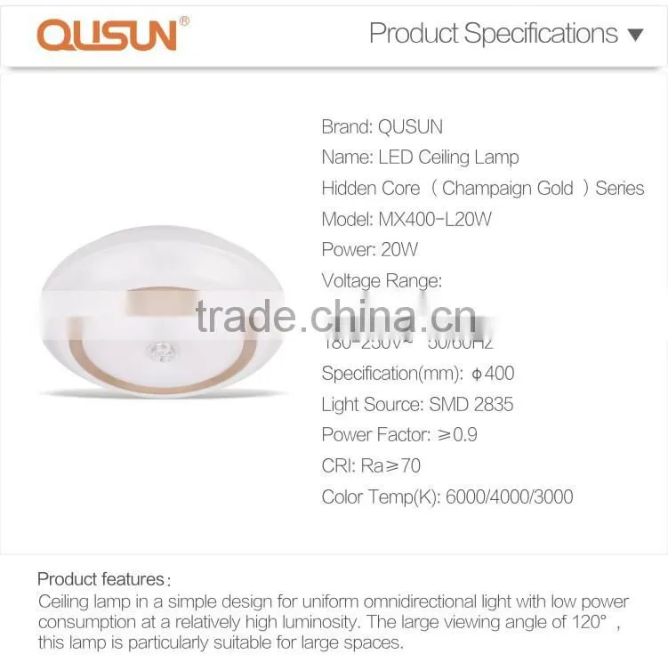 Champagne 20W Surface Mounted CE RoHS LED Ceiling Lamp living room lighting