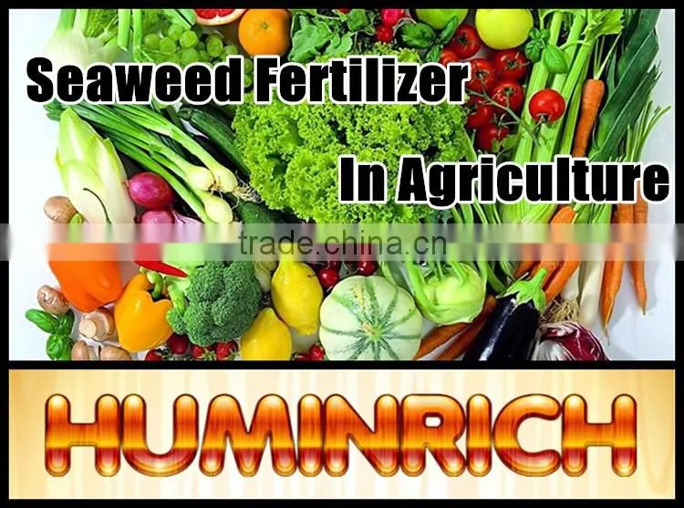 FAQ 19--Application Of Seaweed Extract Fertilizer On Vegetable