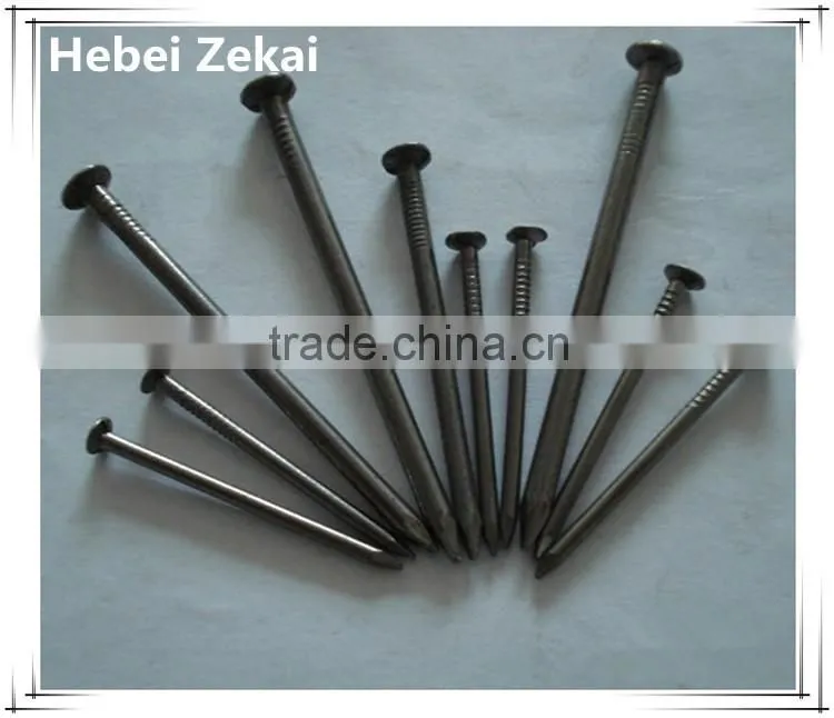 hardware common nails/iron nails round nails for wood building and furniture