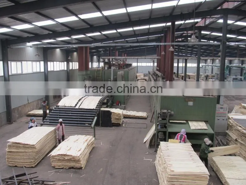 18mm anti-slip film faced plywood, wire-mesh film faced plywood,madera contrachapada