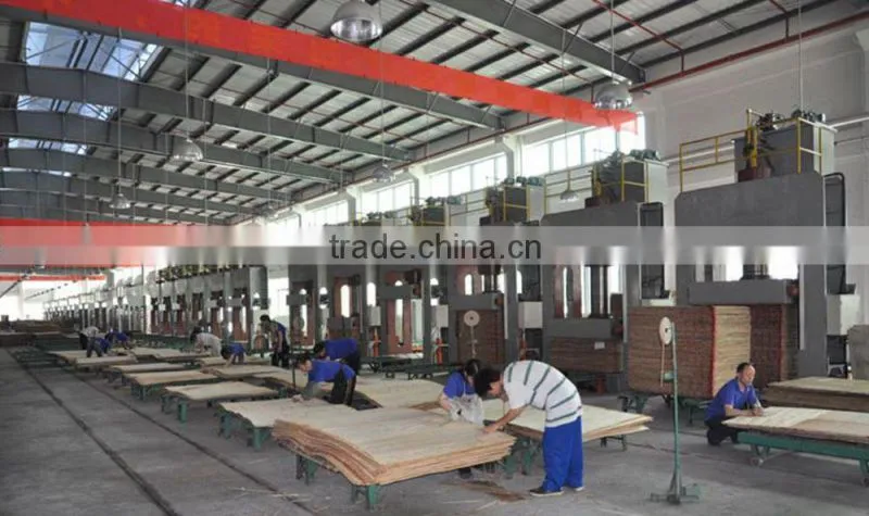 Best Quality Melamine Paper Laminated Plywood