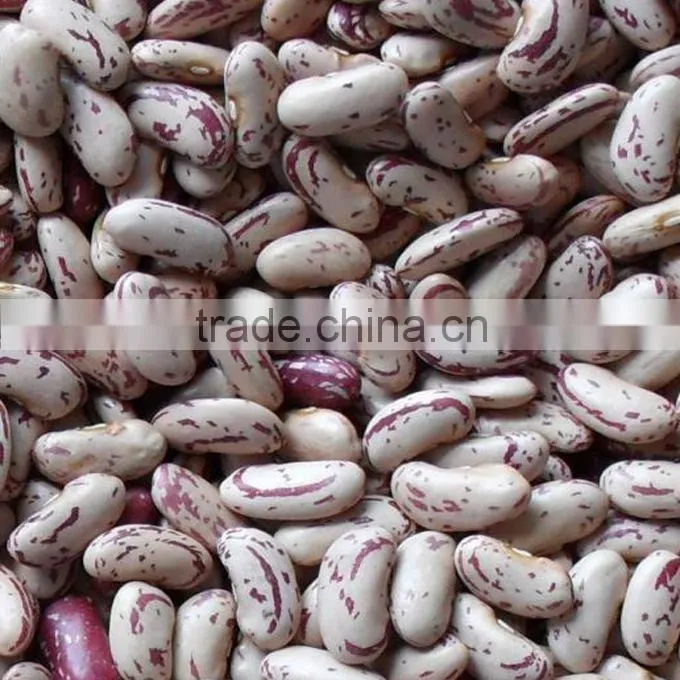 Light Speckled Kidney Beans 2010 round