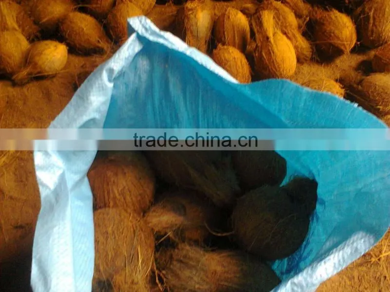 semi husked coconuts !!! Bulk order !!!