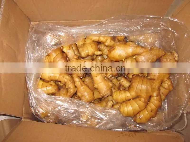 VIETNAMESE FRESH GINGER NEW CROP 2014