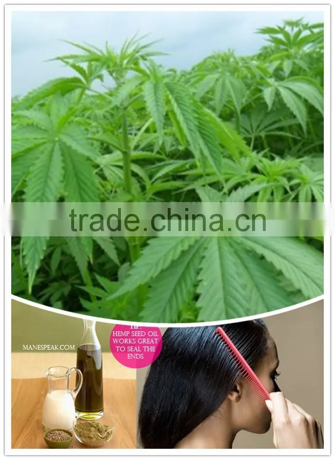 Hemp seed oil 100% Natural
