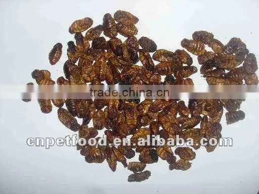 Microwave dried silkworm