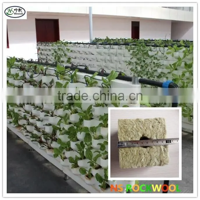 Rock wool cubes for hydroponics seed starting and plants growing