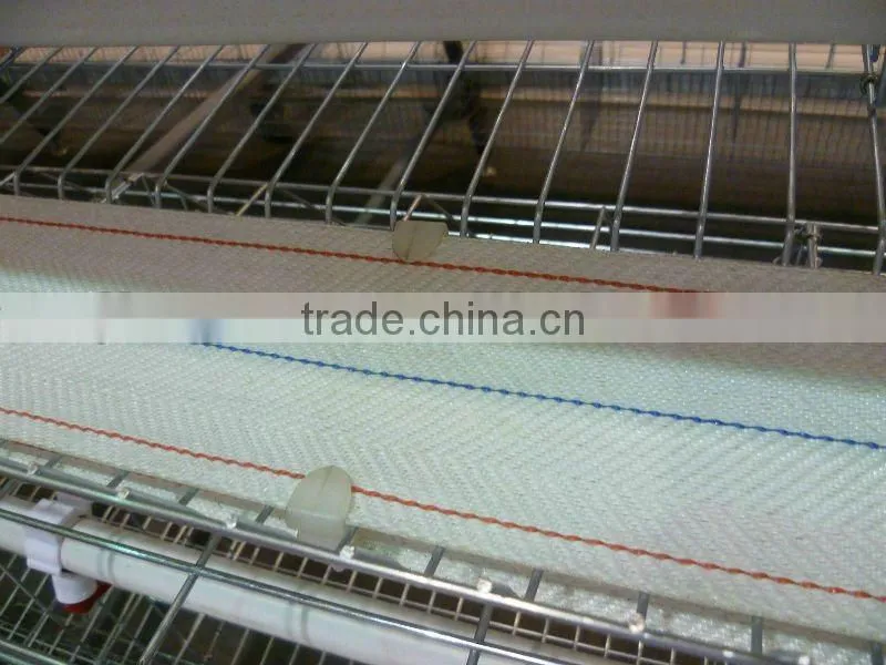 egg collecting machine for chicken farm
