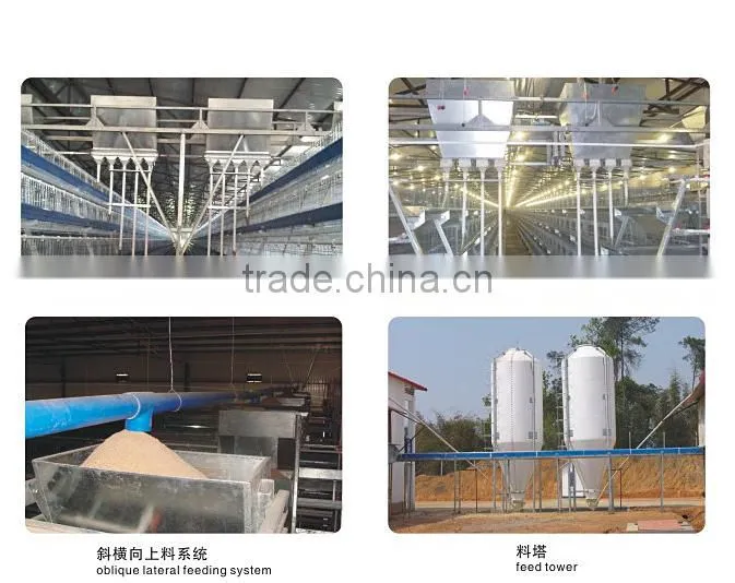 layer quail cage for sale & layer quail cage for poultry farm equipment