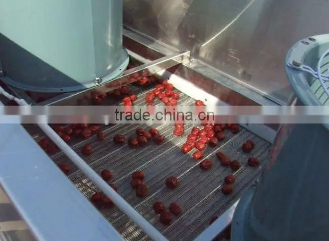 jujube production line/date processing line for high capacity