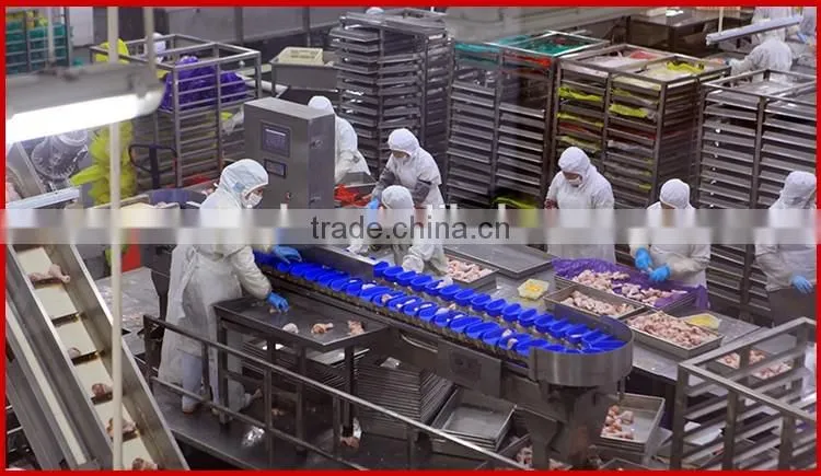 Automatic Chicken Wings and Meats Weight Sorting Machine