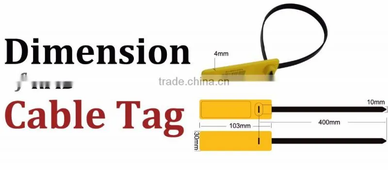 Warehouse Management Impinj Monza R6 UHF Cable Tie Tag