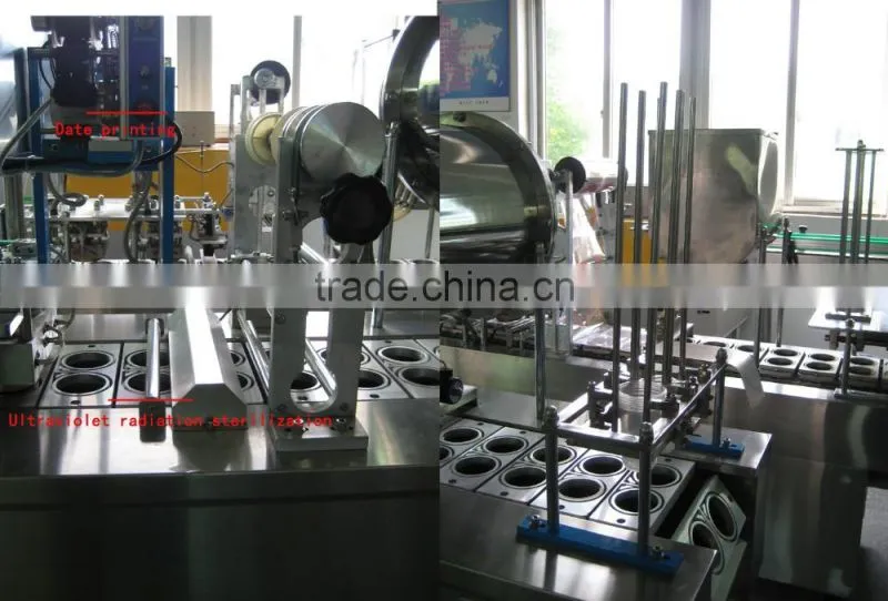 Shanghai Tiangang Automatic Commercial Tofu packing Machine
