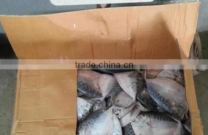 frozen moonfish 60-80g/pc HG Mene Maculata