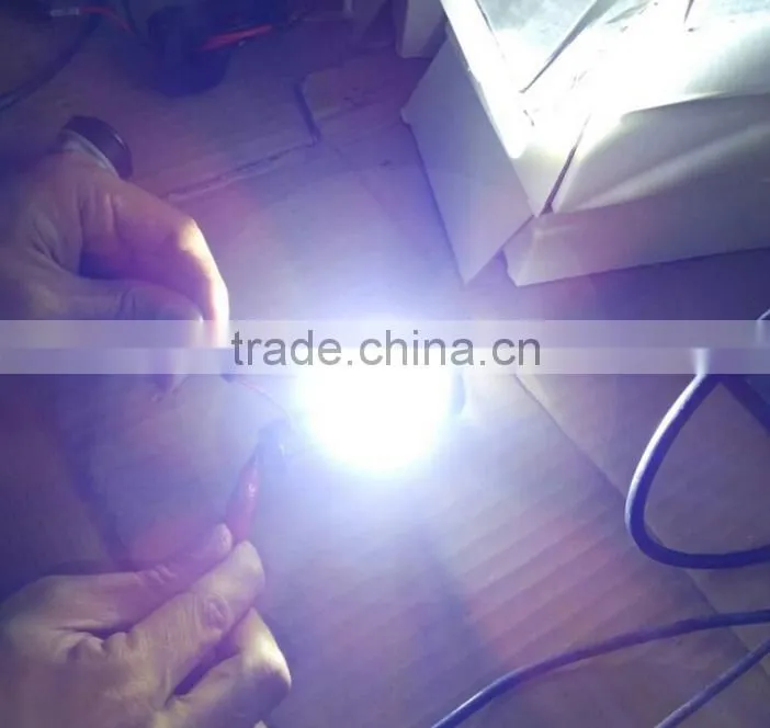 The new motorcycle LED bulbs and light and clear PAWS