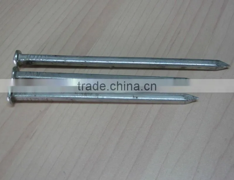 Square Shank Boat Nail with Factory Price