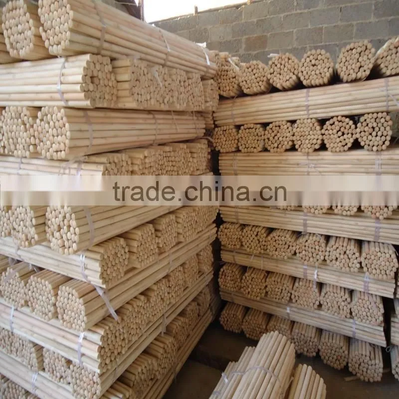 Home Usage and PET Broom Head Material broom handle