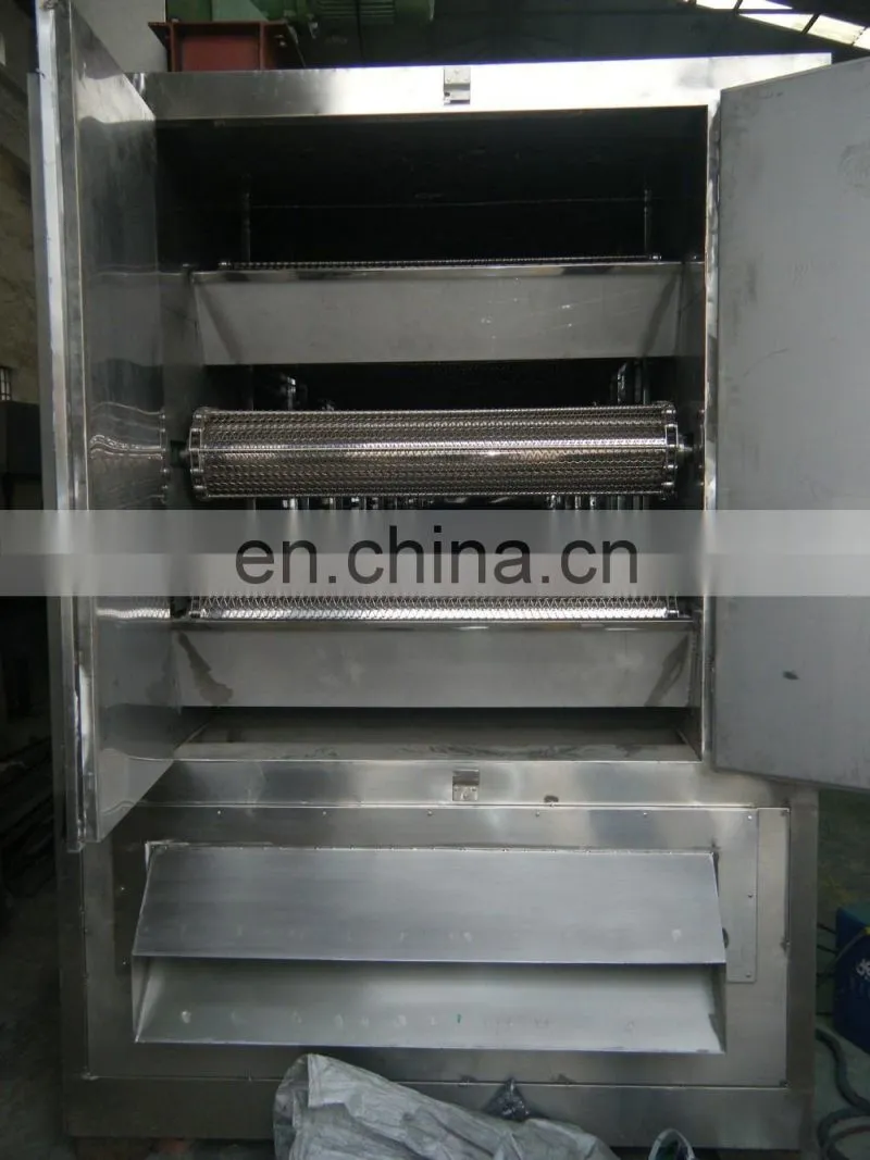 contiunous drying mango chips processing plant