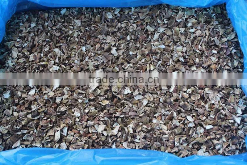 Dried porcini mushroom fresh mushroom farm