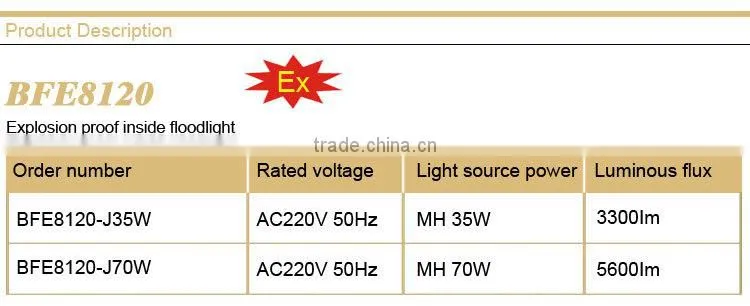 BFE8120 Explosion proof inside floodlight