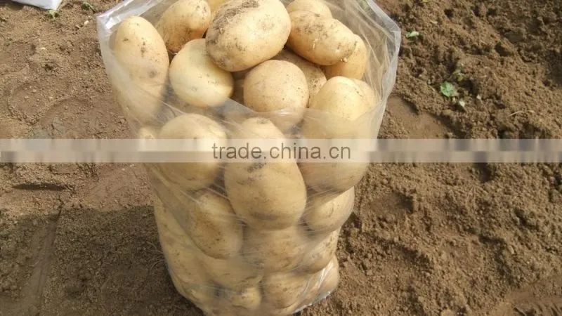 2015 potato with good price